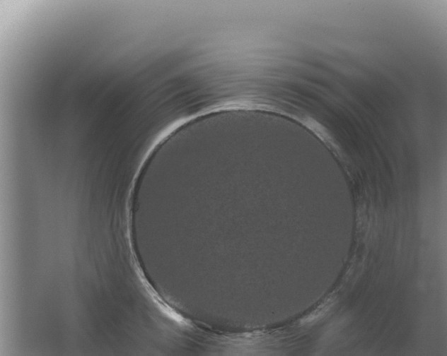 X0000062630854200512231011