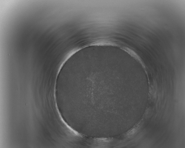 X0000062630855200512231011