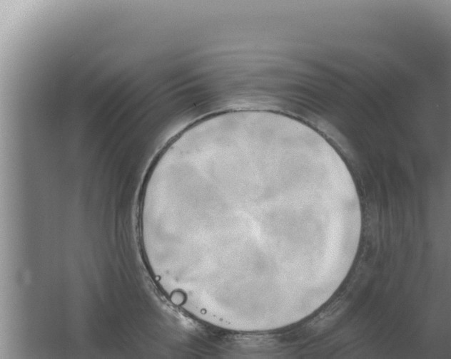 X0000062630856200512231012