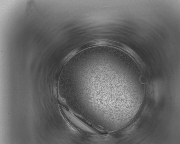 X0000062630857200512231012