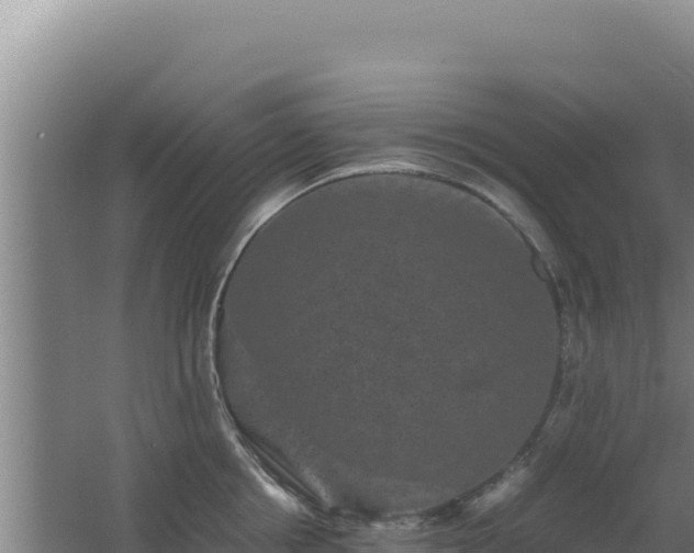 X0000062630858200512231012