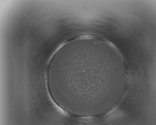 X0000062630859200512231012