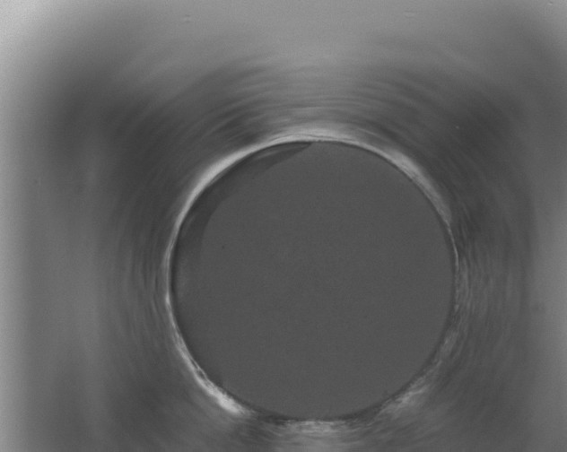 X0000062630862200512231012