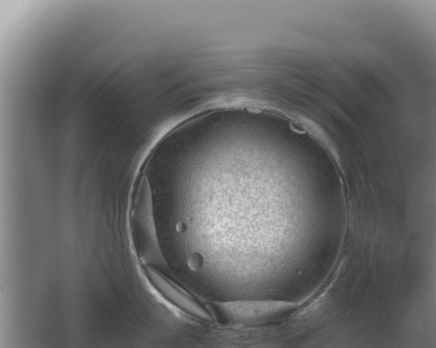 X0000062630863200512231012