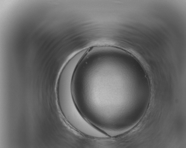 X0000062630864200512231012