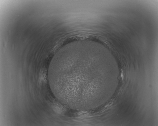 X0000062630867200512231011