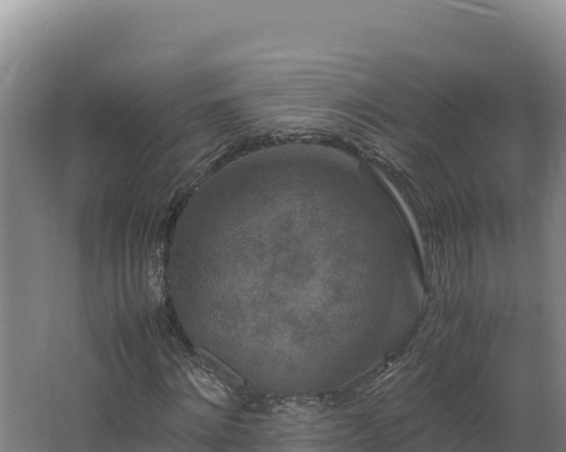 X0000062630868200512231011