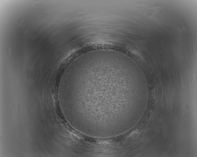 X0000062630870200512231011