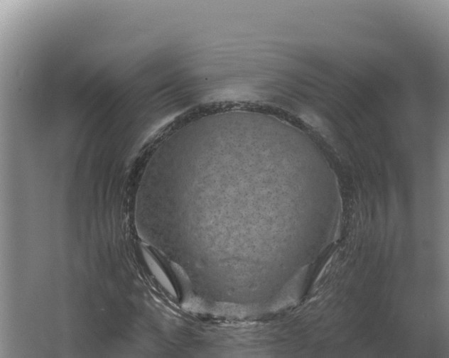 X0000062630872200512231011