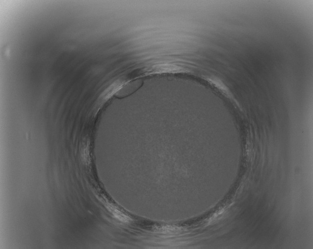 X0000062630873200512231011