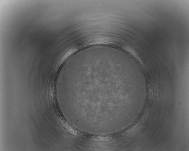 X0000062630874200512231011