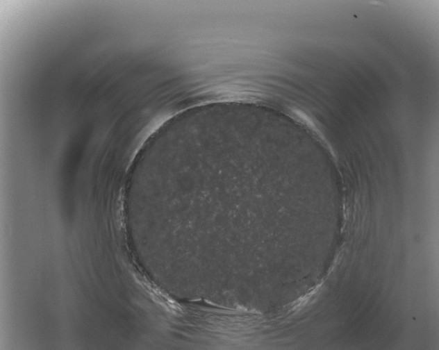 X0000062630875200512231011