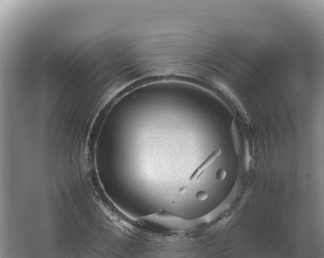 X0000062630876200512231011