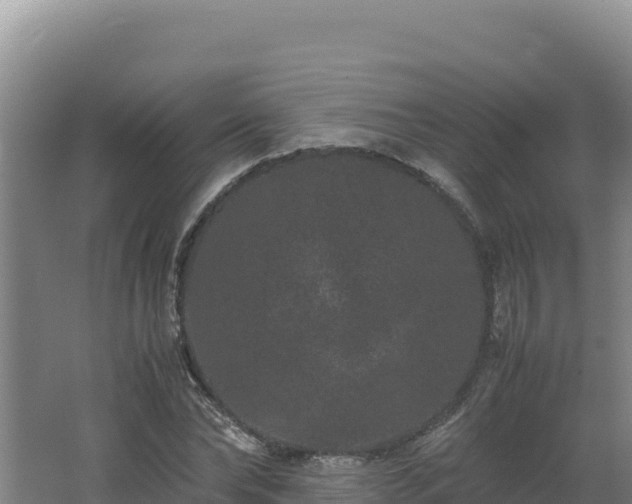 X0000062630878200512231011