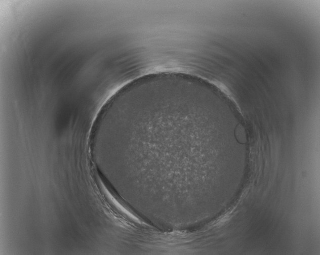 X0000062630879200512231011