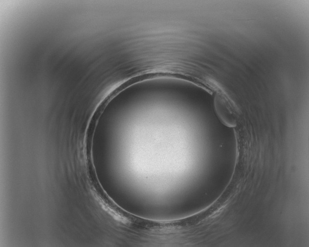 X0000062630884200512231010