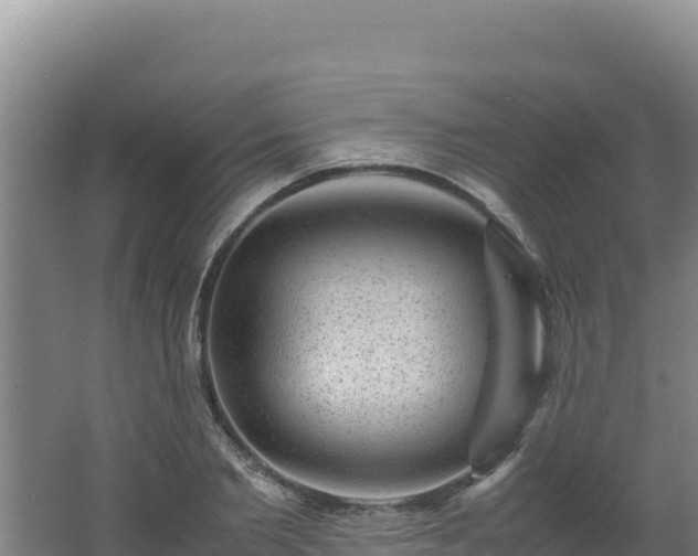 X0000062630885200512231010