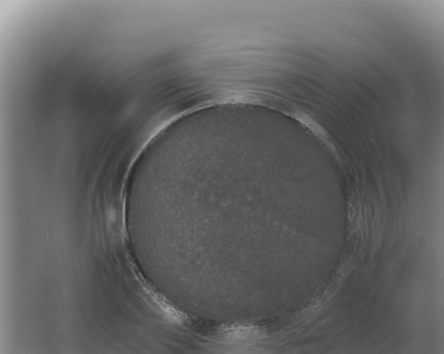 X0000062630886200512231010