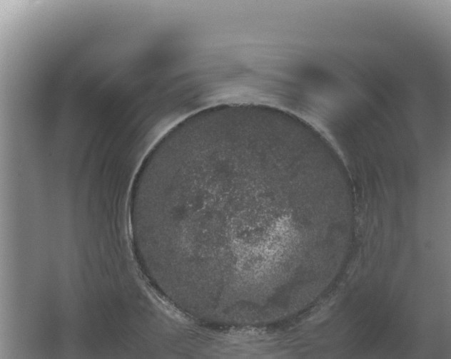 X0000062630887200512231010