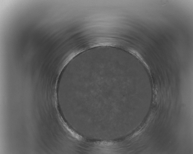 X0000062630890200512231010