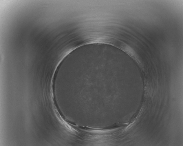 X0000062630892200512231010