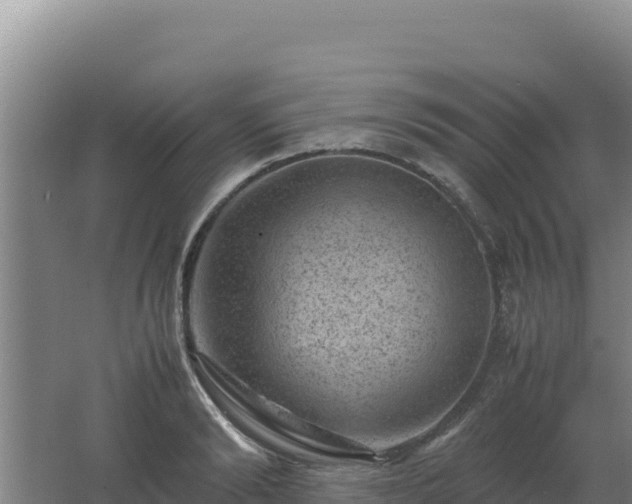 X0000062630894200512231010