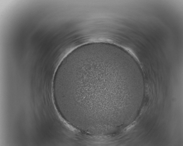 X0000062630895200512231010