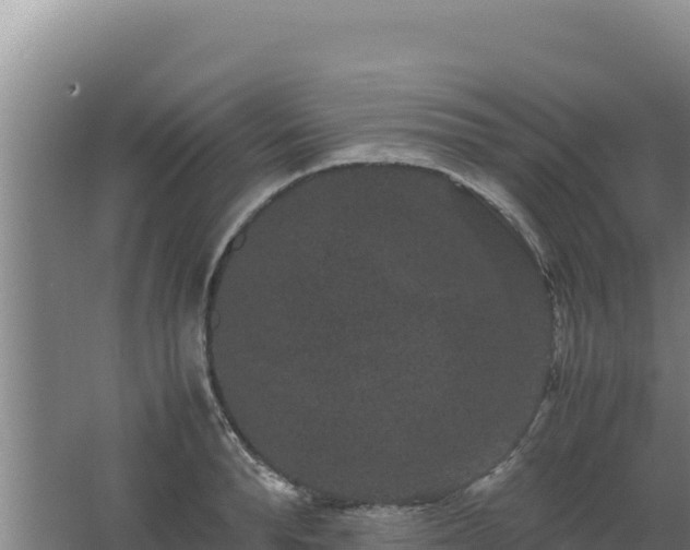 X0000062630896200512231010