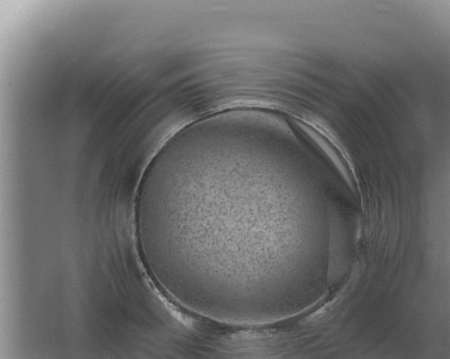 X0000062630898200512231010