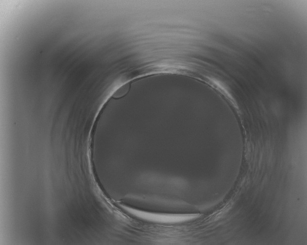 X0000062630899200512231010