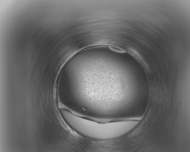 X0000062630900200512231010