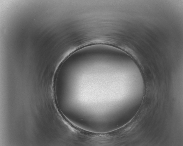 X0000062630902200512231010