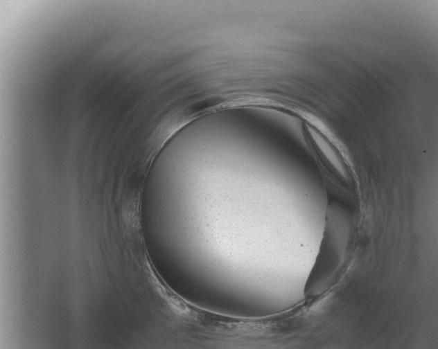 X0000062630905200512231010