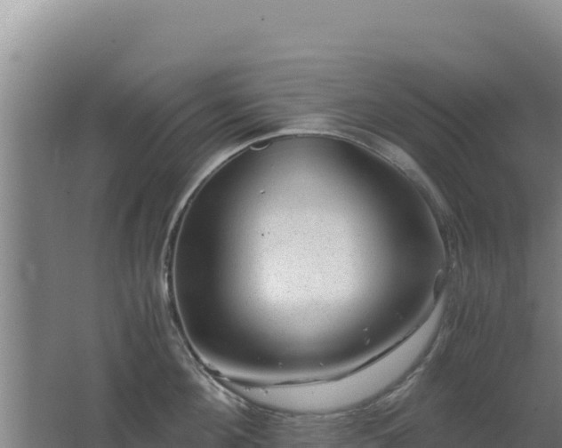 X0000062630908200512231010