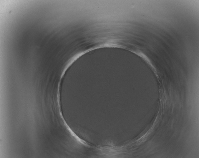 X0000062630910200512231010