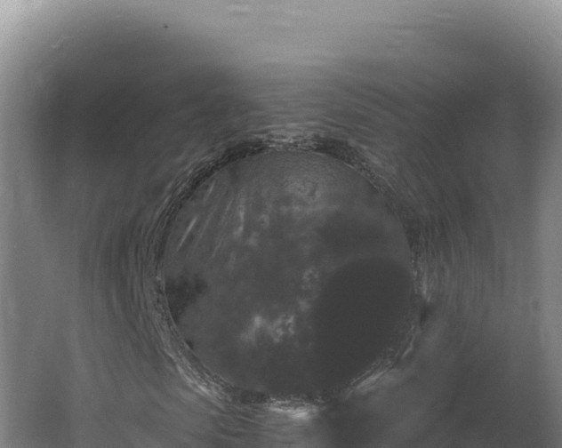 X0000062630913200512231009