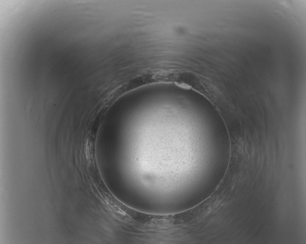 X0000062630914200512231009