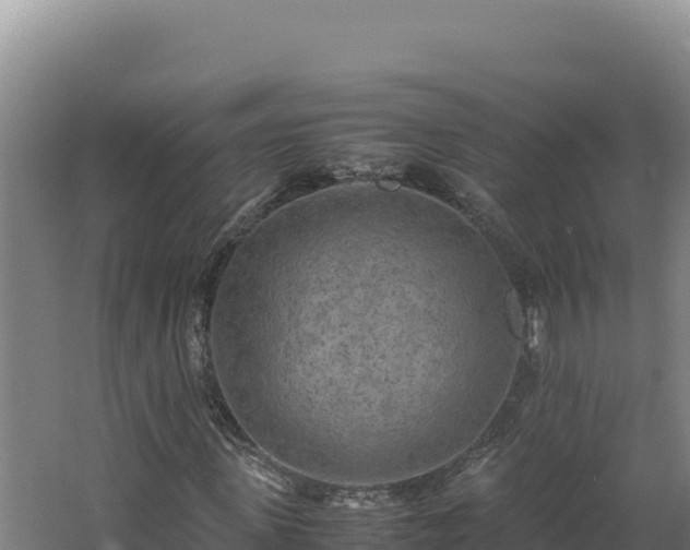 X0000062630915200512231009