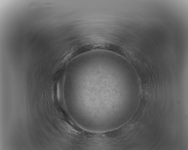 X0000062630916200512231009