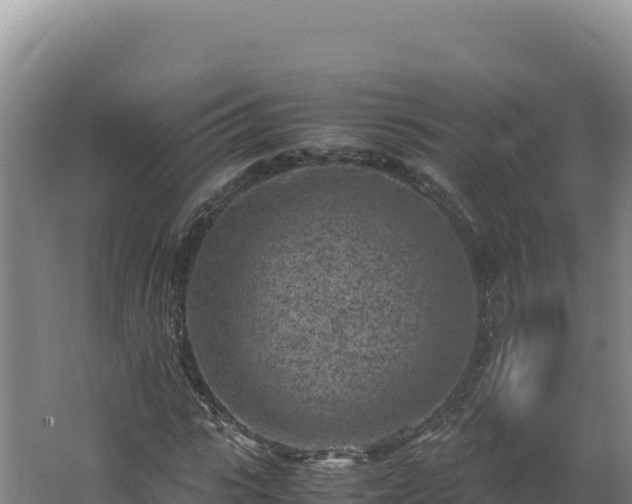 X0000062630919200512231009