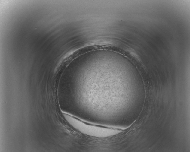 X0000062630920200512231009