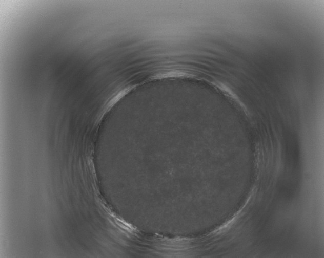 X0000062630921200512231009