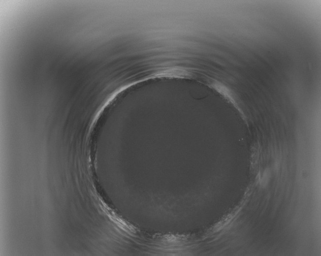 X0000062630923200512231009