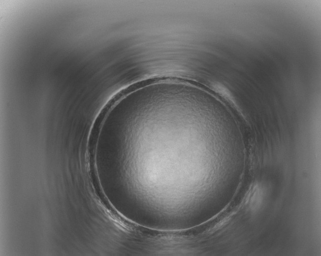 X0000062630924200512231009