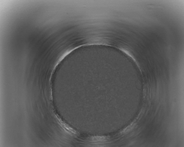 X0000062630925200512231009