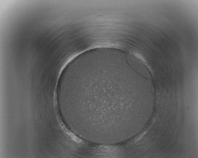 X0000062630928200512231009