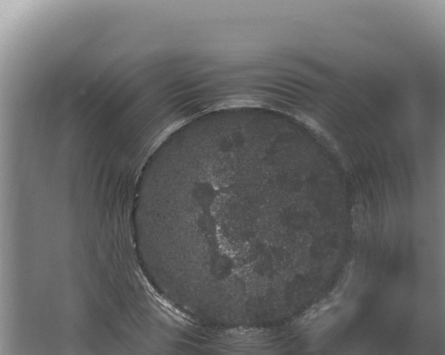 X0000062630929200512231009