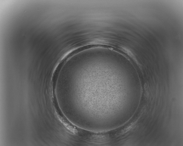 X0000062630931200512231009