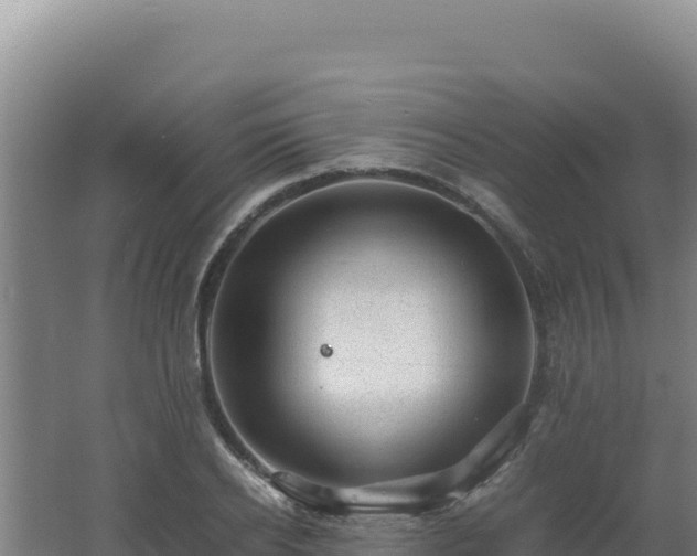 X0000062630934200512231009