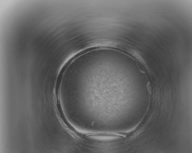 X0000062630936200512231009